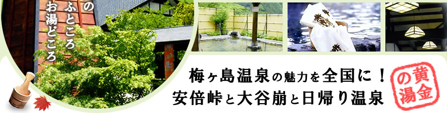 梅ヶ島温泉の魅力を全国に！安倍峠と大谷崩と日帰り温泉