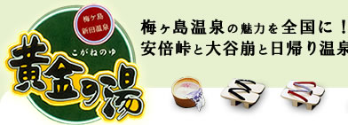 梅ヶ島新田温泉 黄金の湯 梅ヶ島温泉の魅力を全国に！安倍峠と大谷崩